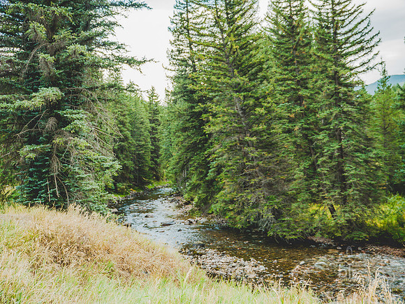P8010647