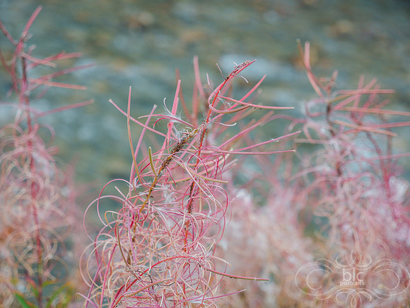 P8010602